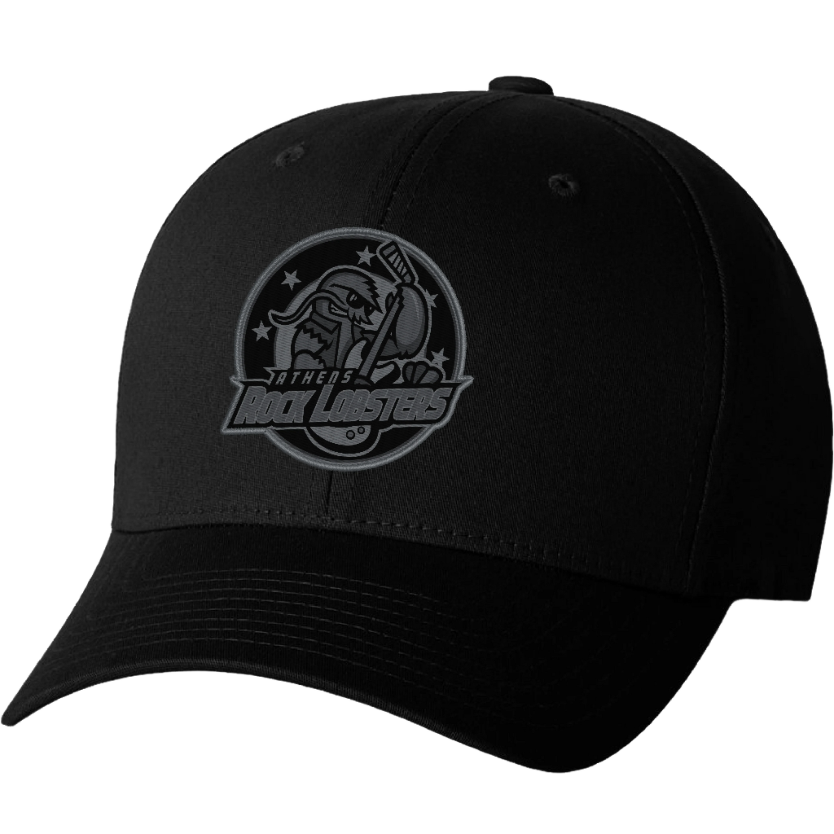 Black Primary Fitted Logo Hat
