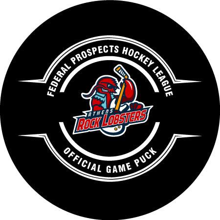 2024-2025 Official Game Puck